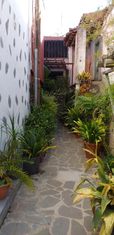 Cho Almeida Vega de San Mateo Ngoại thất bức ảnh